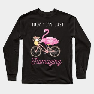 Today I Am Flamazing Amazing Flamingo Bicycle T-Shirt Long Sleeve T-Shirt